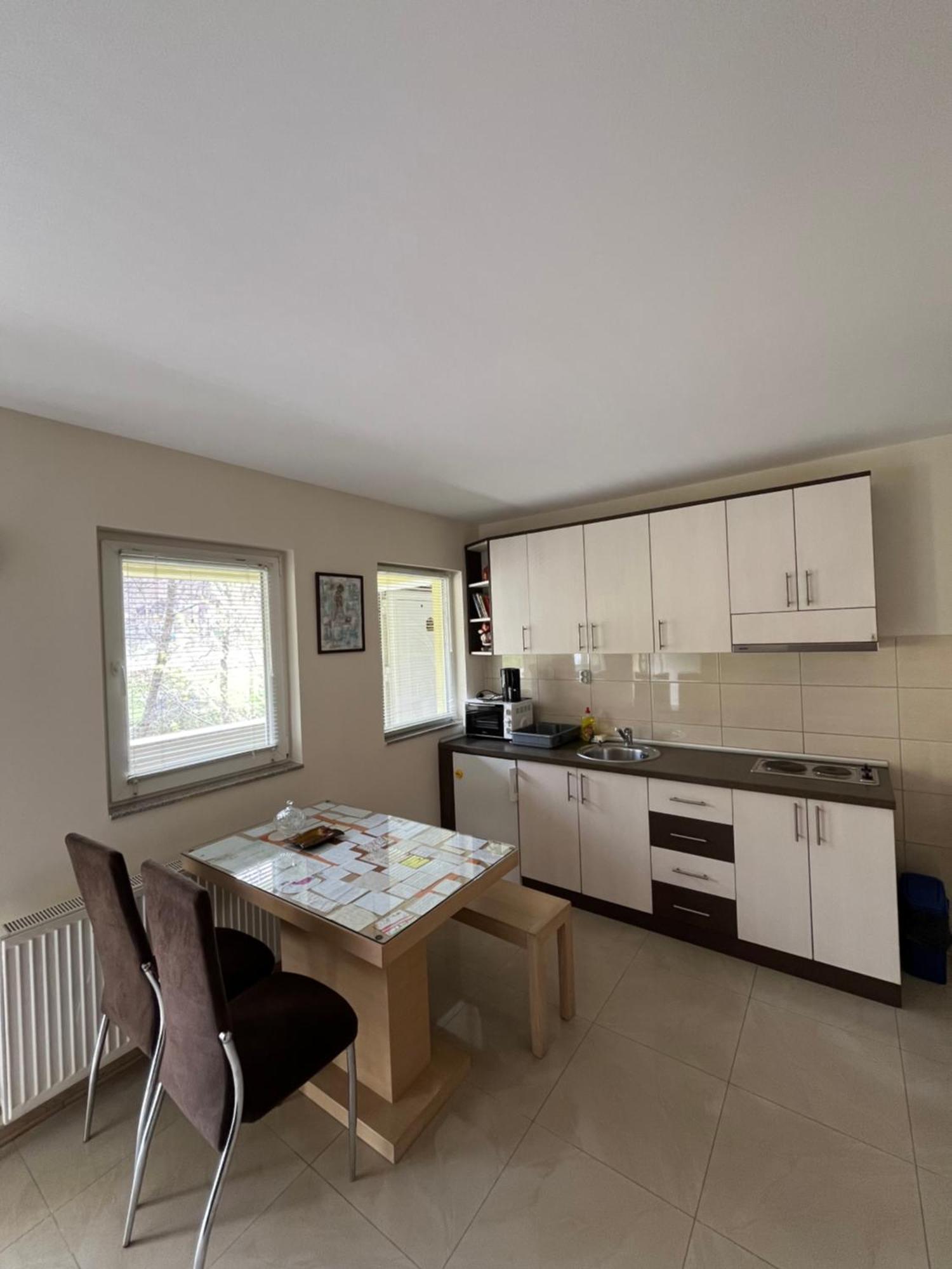 Apartmani Radoicic Josanicka Banja Exteriör bild